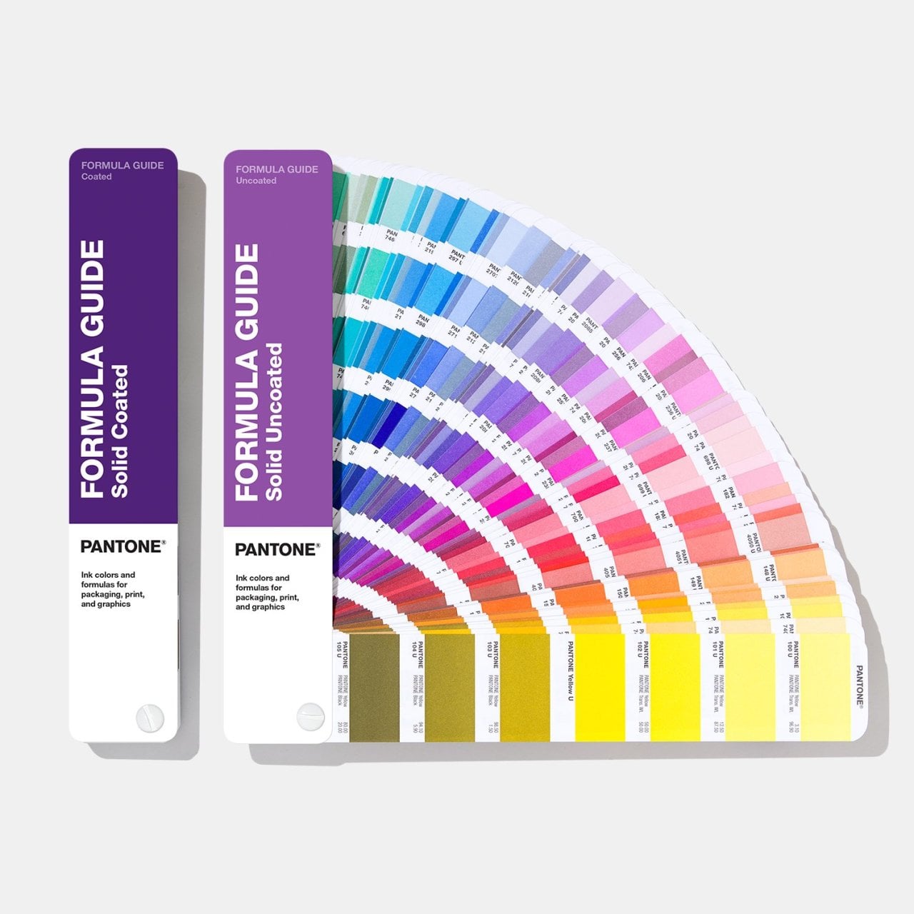 Pantone FORMULA GUİDE Renk Kartelası | 2161 Renk