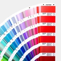 Pantone FORMULA GUİDE Renk Kartelası | 2161 Renk